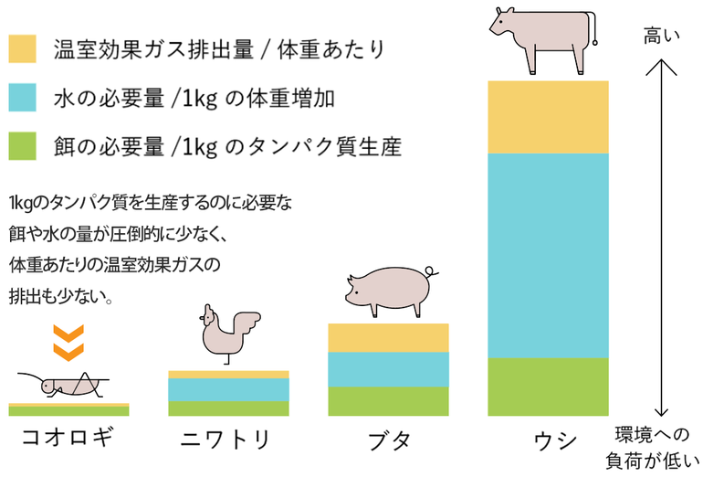 コオロギ　温室効果ガス排出量