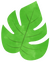 葉っぱ