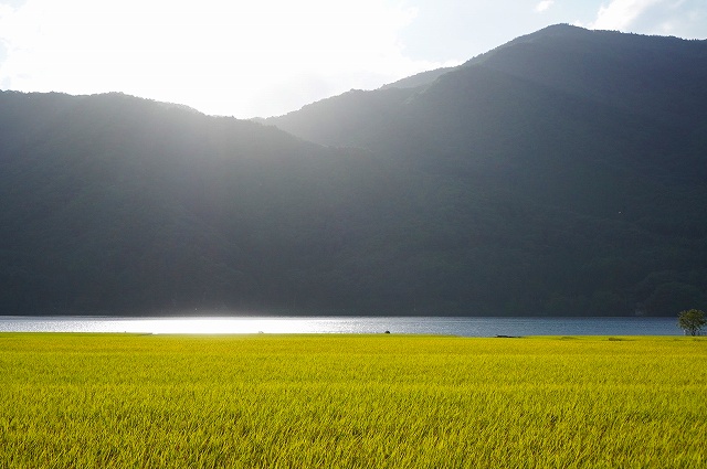 木崎湖