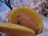 さくらどらやき