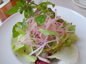 ランチ