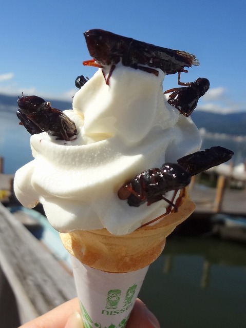 バッタソフト
