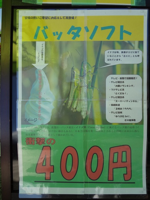 画像の上でクリックすると拡大します！